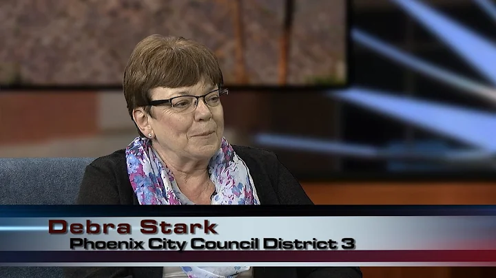 The Stark Report | Meet District 3 Councilwoman De...