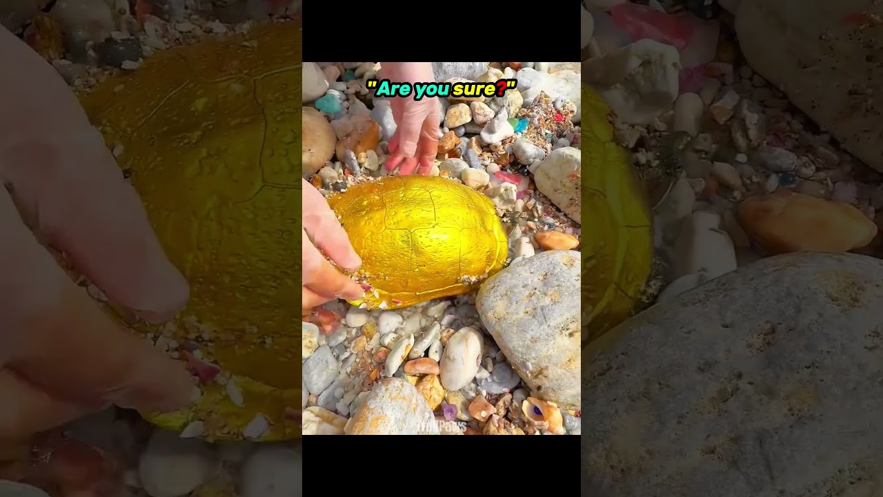 Best Metal Detector Finds☠️