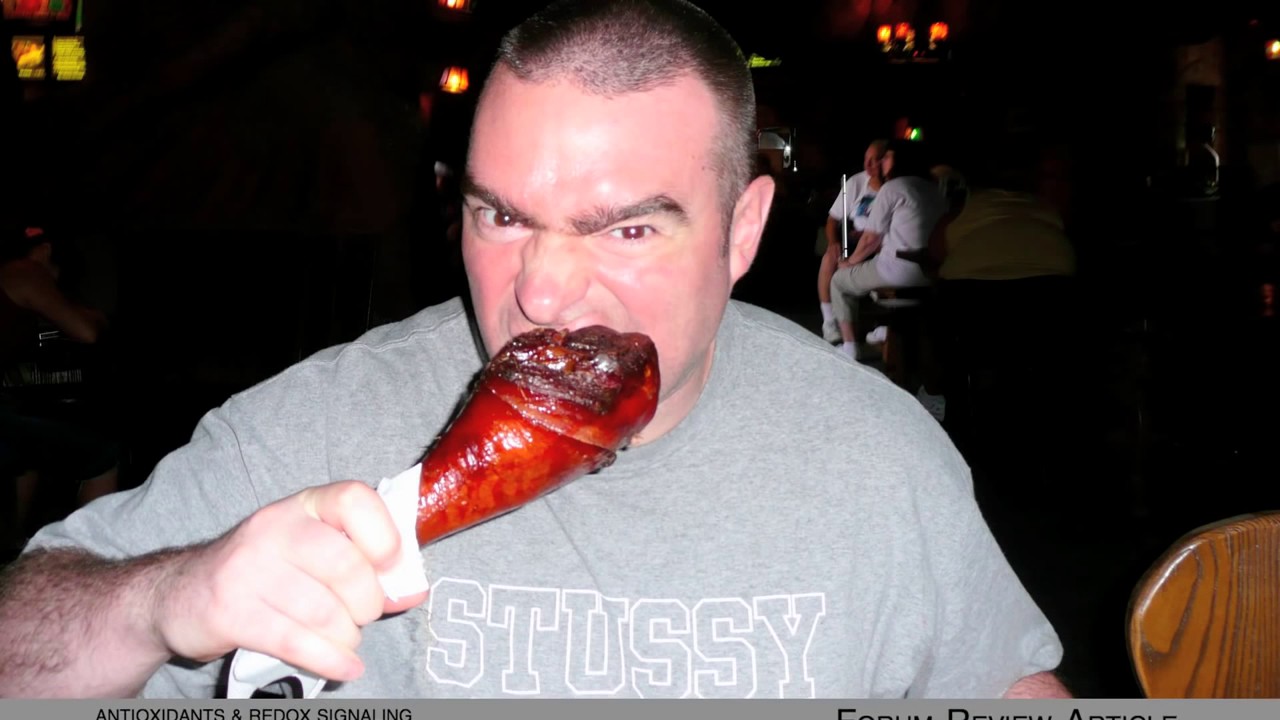 best paleo cookbook - best paleo cookbook