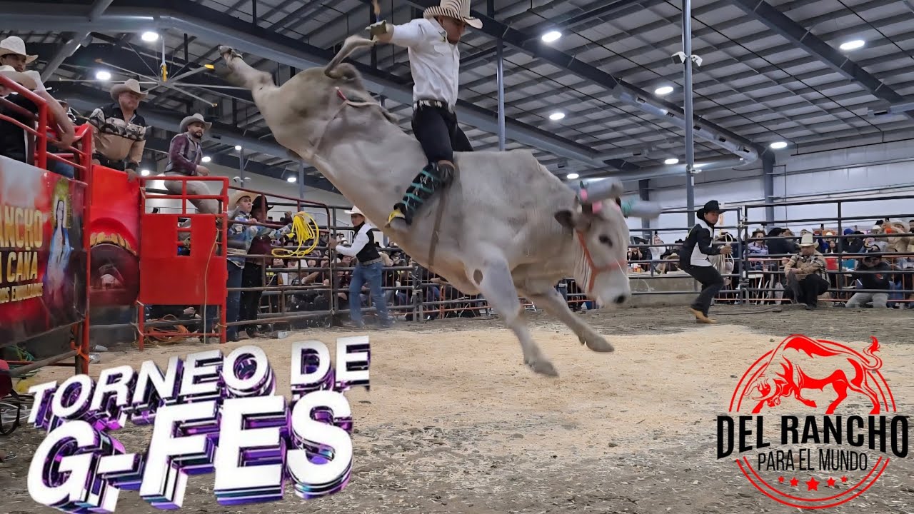 PRIMER TORNEO DE G-FES 2026 EN CHICAGO IL PLAZA AZTECA DE GRAYSLAKE IL!!!