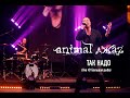 Animal ДжаZ — Так надо (Live @ Мой музыкальный)