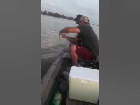 Pescando BACU PEDRA no rio Surubiu Alenquer-Pa - YouTube