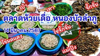 ตลาดห้วยเดื่อ หนองบัวลำภู 14 มีนาคม 2567 ไข่มดแดง จั๊กจั่น หลายคัก