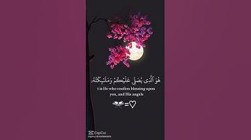 #قرآن #تلاوة #القرآن_الكريم #قرآن_كريم #اسلاميات #ديني #خشوع #راحة_نفسية #quran #peace #الله