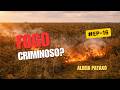 #EP 16 FOGO CRIMINOSO ALDEIA PATAXÓ