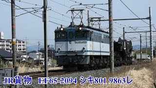 JR貨物　東海道線　西岡崎→安城　9863レ　EF65-2094 ＋シキ801　走行動画
