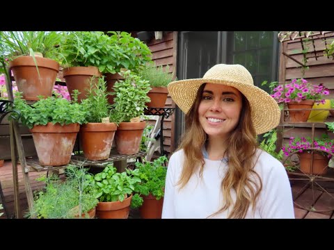 Fertilizing My Container Herb Garden | Growing Herbs in Pots