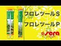 【セラ】水草トリミング用品（ピンセット＆ハサミ）のご紹介