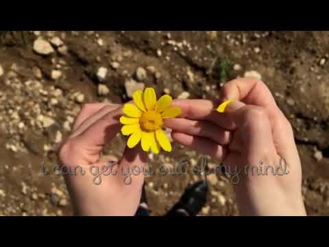 Ecoutez - Are You Really the One (lyrics) - YouTube