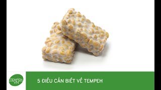 Top 8 cách làm tempeh đậu gà mới nhất năm 2022