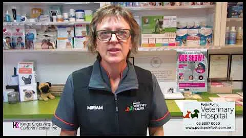 Potts Point Veterinary Hospital's Miriam Meek invi...