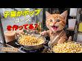【まさかの大逆転】ポップコーン作りで大失敗したここにゃん…諦めずに挑戦した結果、夢の遊園地を満喫できた！？🎡🍿✨