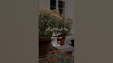 أرح سمعك 🥀القارئ: ماهر المعيقلي 🍃حالات واتس آب https://t.me/halat1000