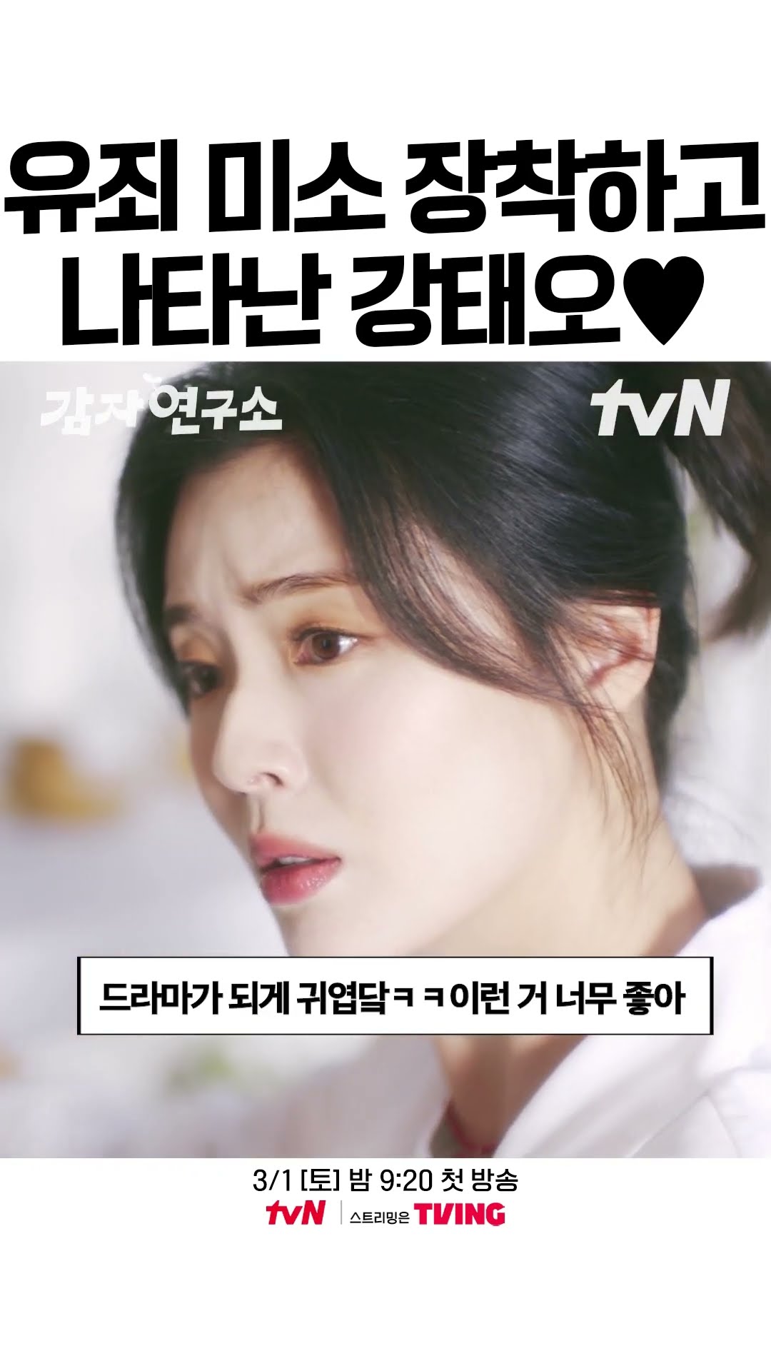 감자 구매 시 강태오 + 유죄 미소 증정? #감자연구소