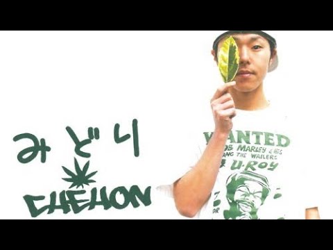 Chehon みどり 耐久 Youtube