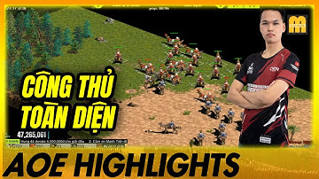 Không có điểm yếu! Chim Sẻ công thủ đều hay, khiến đối thủ tuyệt vọng toàn tập! | AoE Highlights