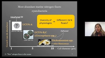 Physiology meets biogeochemistry - Sophie Rabouille