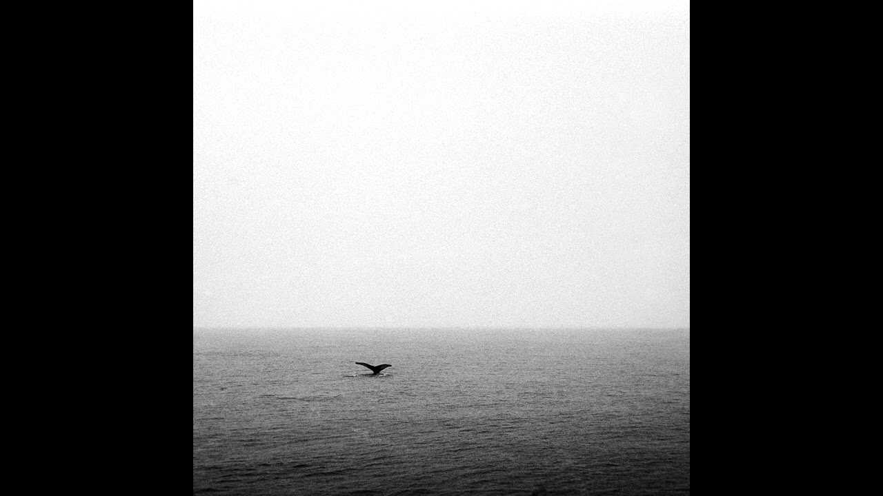 Watch Sunorphan - Ocean Beyond the Waves on YouTube Watch Sunorphan - Ocean Beyond the Waves on YouTube