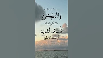 القرآن الكريم  سورة الحشر #علي_جابر