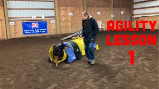 Foundation Dog Agility First Lesson