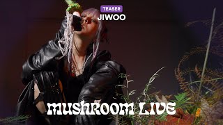 MUSHROOM LIVE - JIWOO TEASER