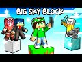 HO RITROVATO L'OGGETTO PIÚ RARO di MINECRAFT! - BIG SKYBLOCK