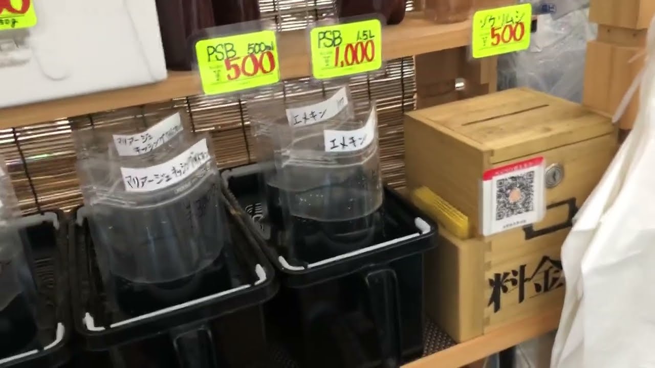 メダカ販売所探訪①メダカスタイル　神奈川県相模原市　（2022年9月初旬）