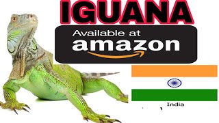 IGUANA ON AMAZON ऑनलाइन कैसे??INDIA ONLINE SALE! IGUANA ON AMAZON ऑनलाइन कैसे??INDIA ONLINE SALE!