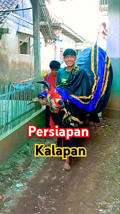 persiapan atraksi kalapan Bantengan #bantengan #shorts #shortsviral #jaranan #barongan #funny