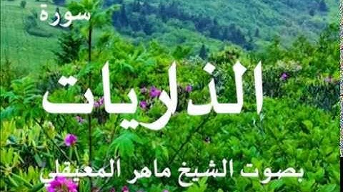 سورة الذاريات بصوت الشيخ / ماهر المعيقلي 51