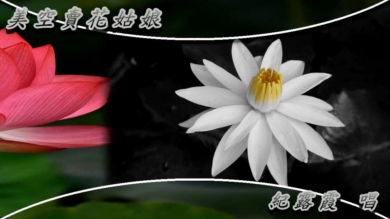 美空賣花姑娘紀露霞 Youtube