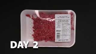 For this lab, you will be able to see how meat packaging affects the
colour and quality of product stored in a refrigerator as shown with
time-lapse vide...