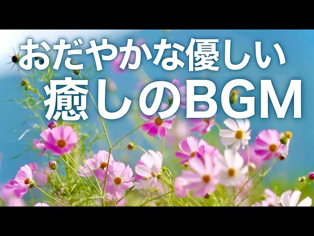 オリジナルヒーリング音楽創ります⭐︎自分を変えて前に進みたい方、自分だけの癒し音楽 YouTube