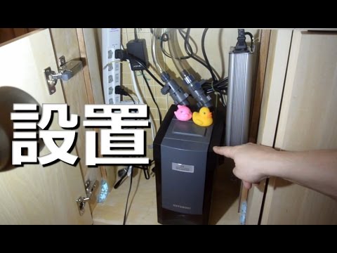 アクアリウム 初期不良 外部フィルター設置 コトブキpower Box Sv4500 Youtube