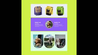 Figma to High Converting Shopify Landing Page