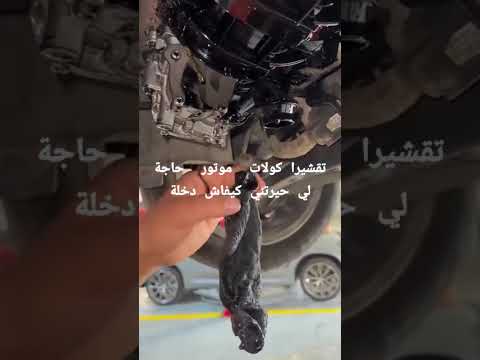 تبقى حاير تقشيرا كولات موتار لي حيرتني كيفاه تذخلت