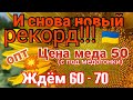 Цена на мед 2021. Чего ожидать!🔥Подсолнечник сгорает⛈️Европа тонет.