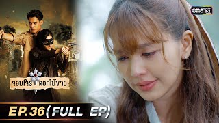 จอมโจรดอกไม้ขาว | Ep.36 (Full Ep) | 12 ก.ย. 66 | ประเทศไทยรับชมได้ทาง oneD