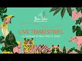 Live trimestriel  shaina lebeau communication animale