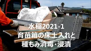 水稲2021 1育苗箱の床土入れと種もみ消毒・浸漬 - YouTube