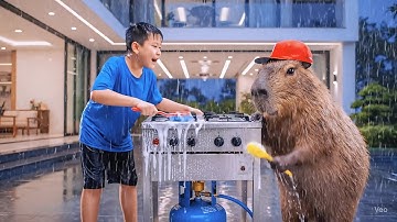 Capy cùng anh giúp bà lau bếp gas và cái kết bất ngờ #capybara
