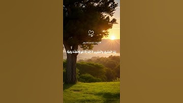قران كريم بصوت القارئ عبد الرحمن مسعد #قران_كريم#راحة_نفسيه#عبدالرحمن_مسعد