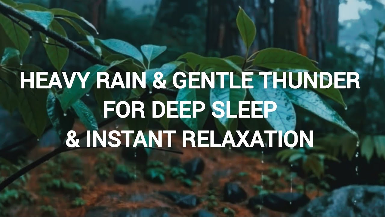 HEAVY RAIN & GENTLE THUNDER in the FOREST | Deep Sleep & Instant ...