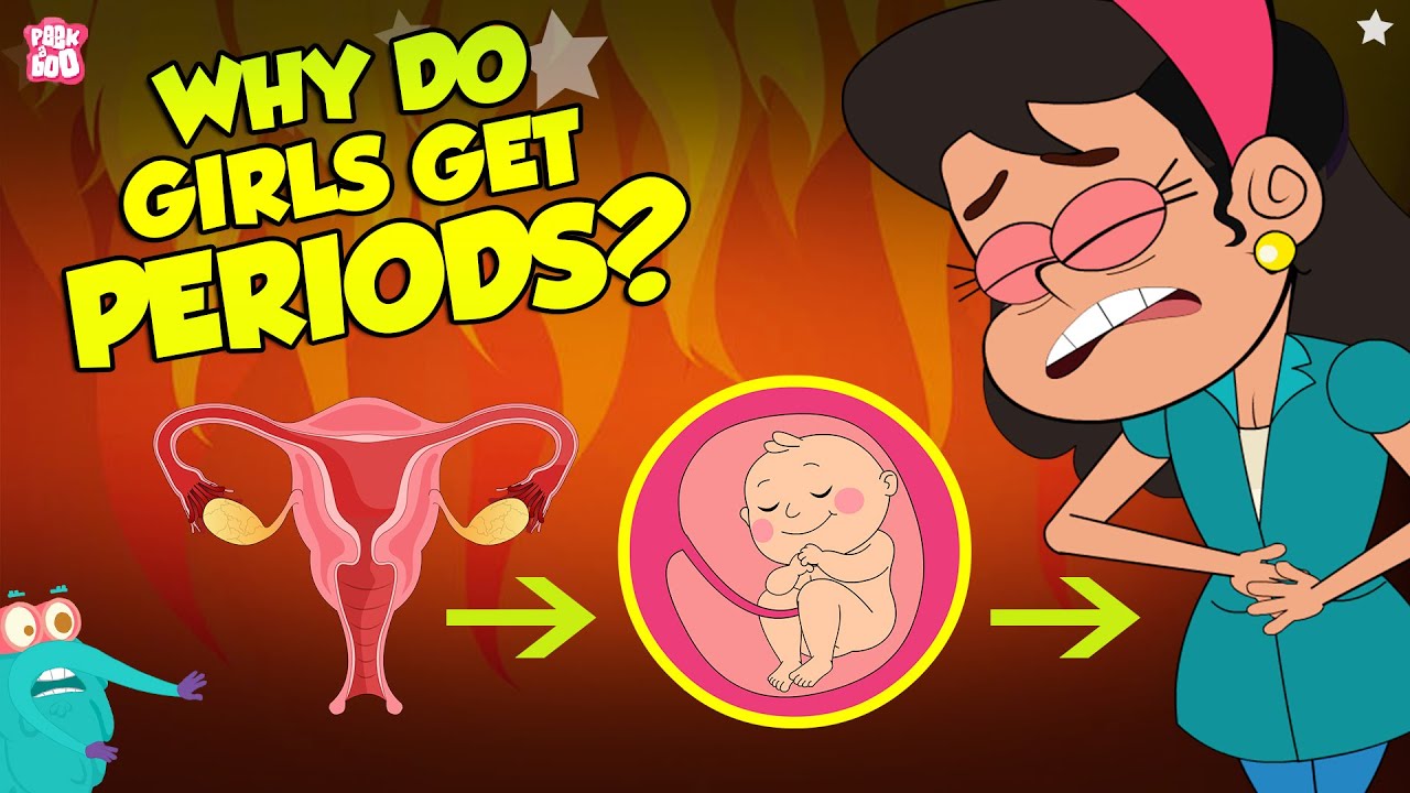 Why Do Girls Get Periods? Menstruation The Dr Binocs Show Peekaboo Kidz image