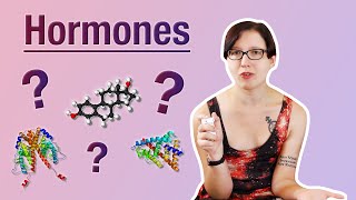 Gender basics: How sex hormones work, and their use by trans people (Gender Analysis)