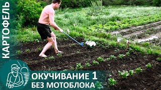 🥔 1-Е Окучивание Картофеля С Подкормкой Навозом И Золой По Методу Гордеевых