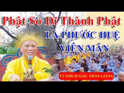 PHÁP HỘI CỘNG TU TẠI BỒ ĐỀ ĐẠO TRÀNG ẤN ĐỘ NGÀY 12/3/2026