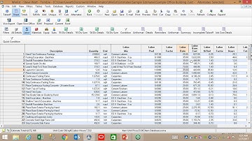 Solutions Close-Up: Trimble WinEst