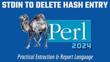 Efficient Perl Programming: Deleting Hash Elements Using STDIN 2024