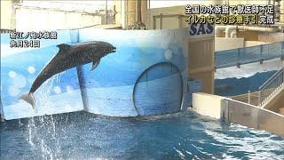 国内初!イルカなどに特化した「海獣診療マニュアル」完成　背景に専門医師不足(2023年3月4日)